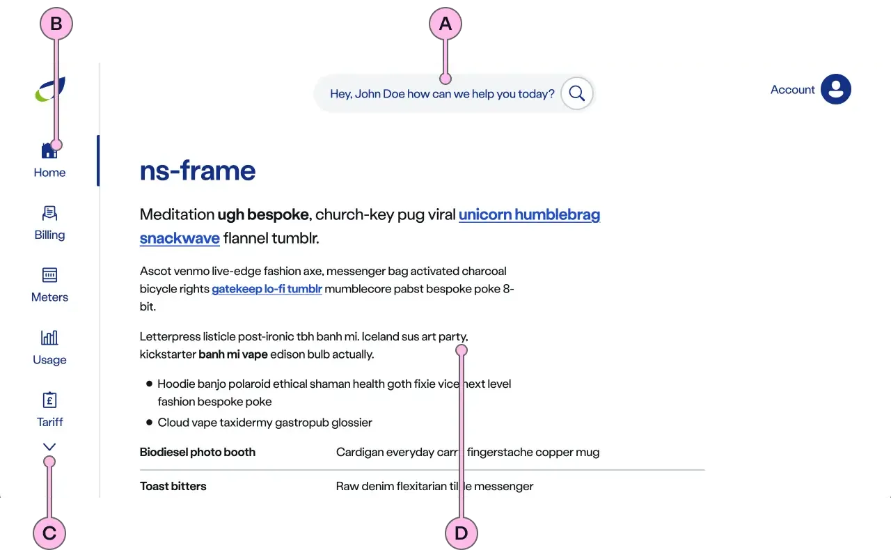 Labelled diagram of ns-frame